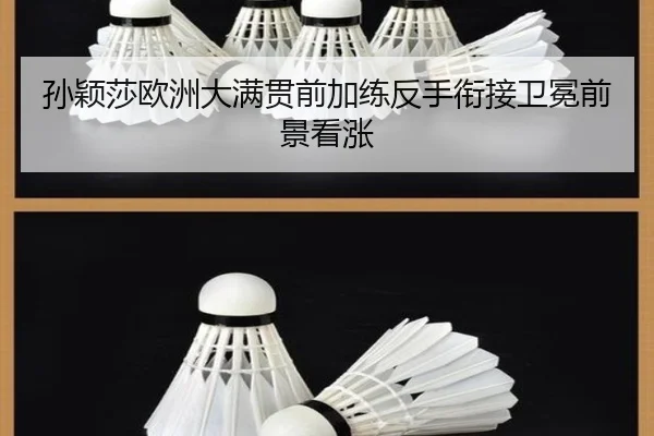 孙颖莎欧洲大满贯前加练反手衔接卫冕前景看涨 - 8868tiyu