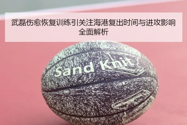 武磊伤愈恢复训练引关注海港复出时间与进攻影响全面解析 - 8868tiyu